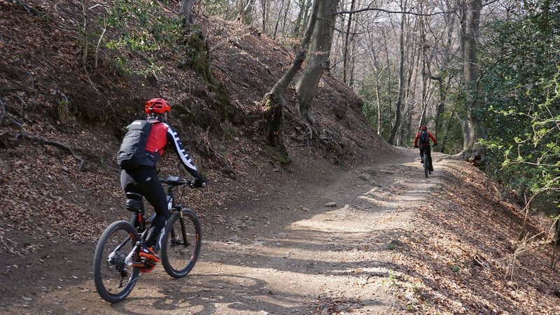 Mountainbiker im Wald