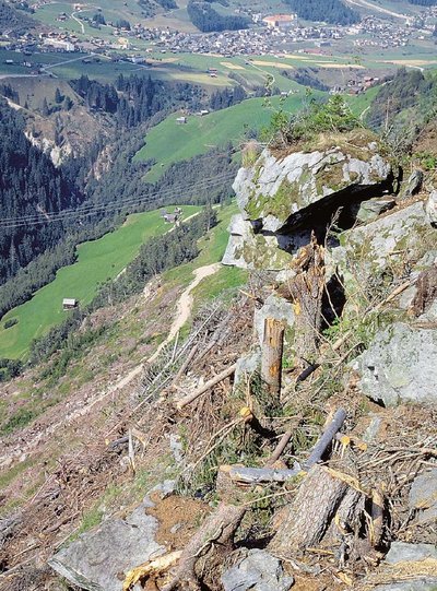 Windwurf-Versuchsfläche Disentis