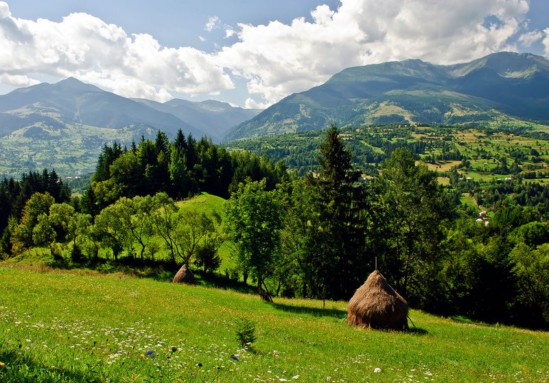 Waldflächen im Nationalpark Rodna-Gebirge in den Karpaten