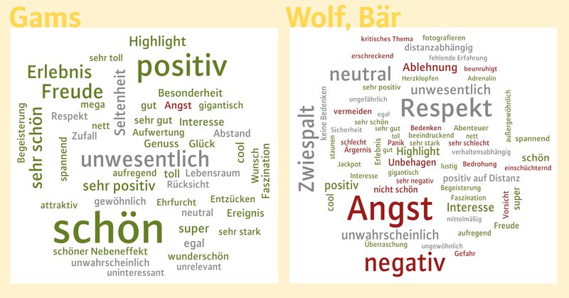 viele Wörter wild durcheinander