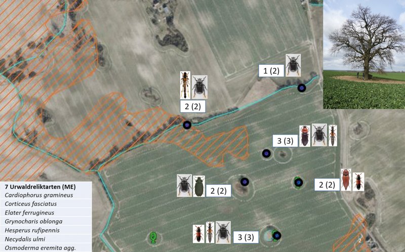 grafische Übersicht