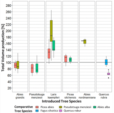 Total volume production of the comparative tree species in relation to the introduced tree species.