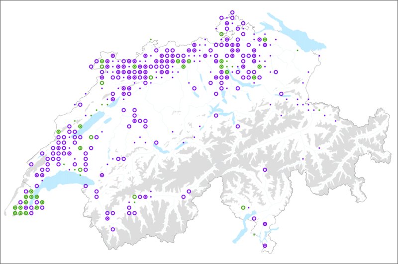 Verbreitung der Wildbirne in der Schweiz