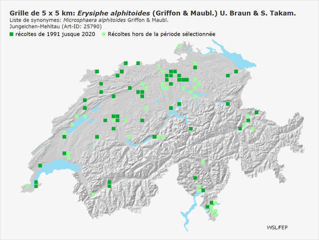 Répartition d’Erysiphe alphitoides en Suisse