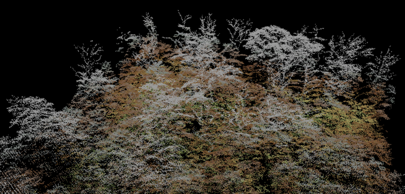 Multispektralbild eines Waldbestandes