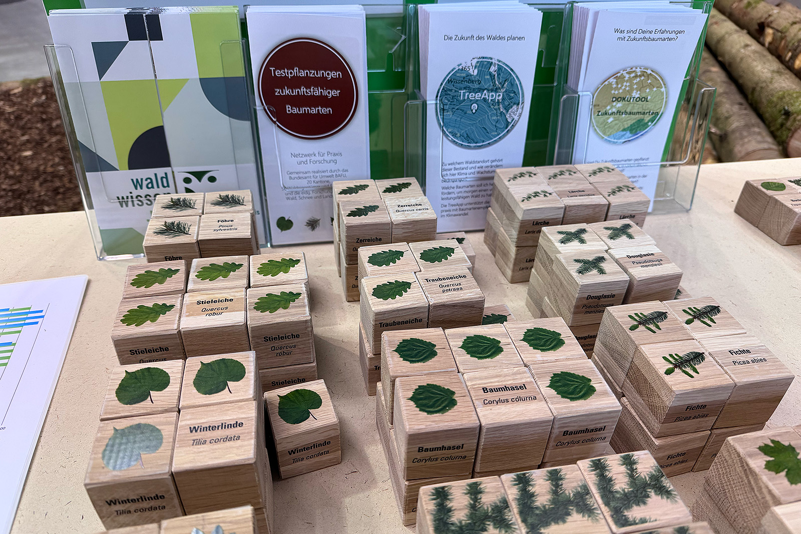 Höhenmodell Testpflanzungen