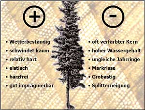 Eigenschaften Tannen-Holz