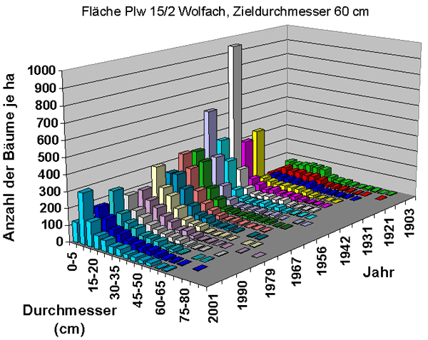 Durchmesserverteilung im Plenterwald