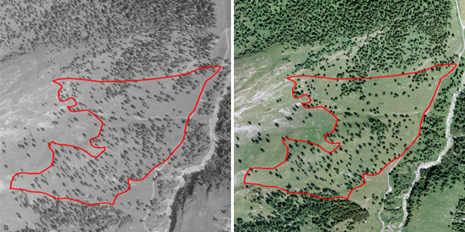 Luftbildvergleich Cröterwald 1957 und 2015