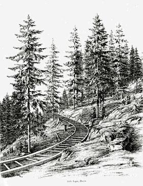 Wahrscheinlich Schienen der Holzrollbahn