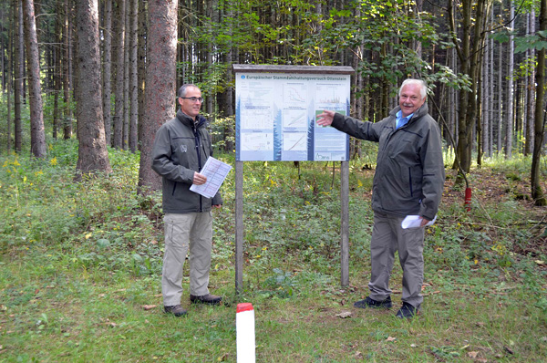 Thomas Ledermann und Günter Rössler vom Institut für Waldwachstum und Waldbau.