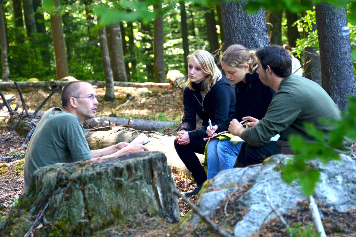 Jugendliche sitzen im Wald und reden mit einem Ausbilder