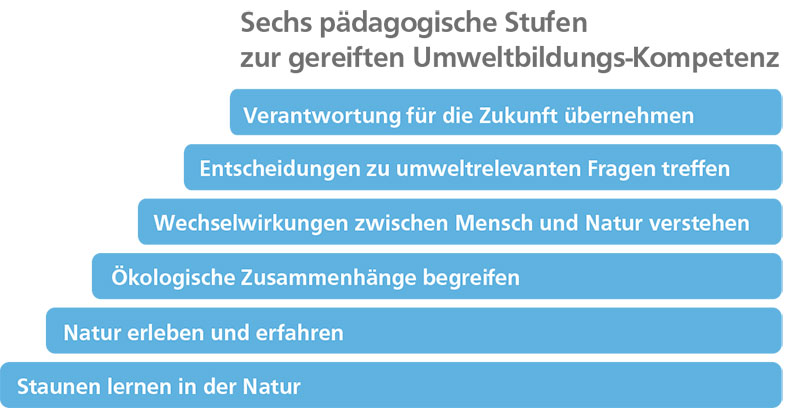 Pädagogische Stufen zur Umweltbildungs-Kompetenz