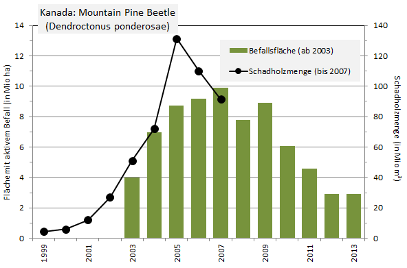 Befall des Mountain Pine Beetle in Kanada