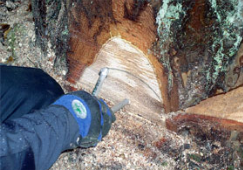 Inserire la bussola nella linea di base della tacca