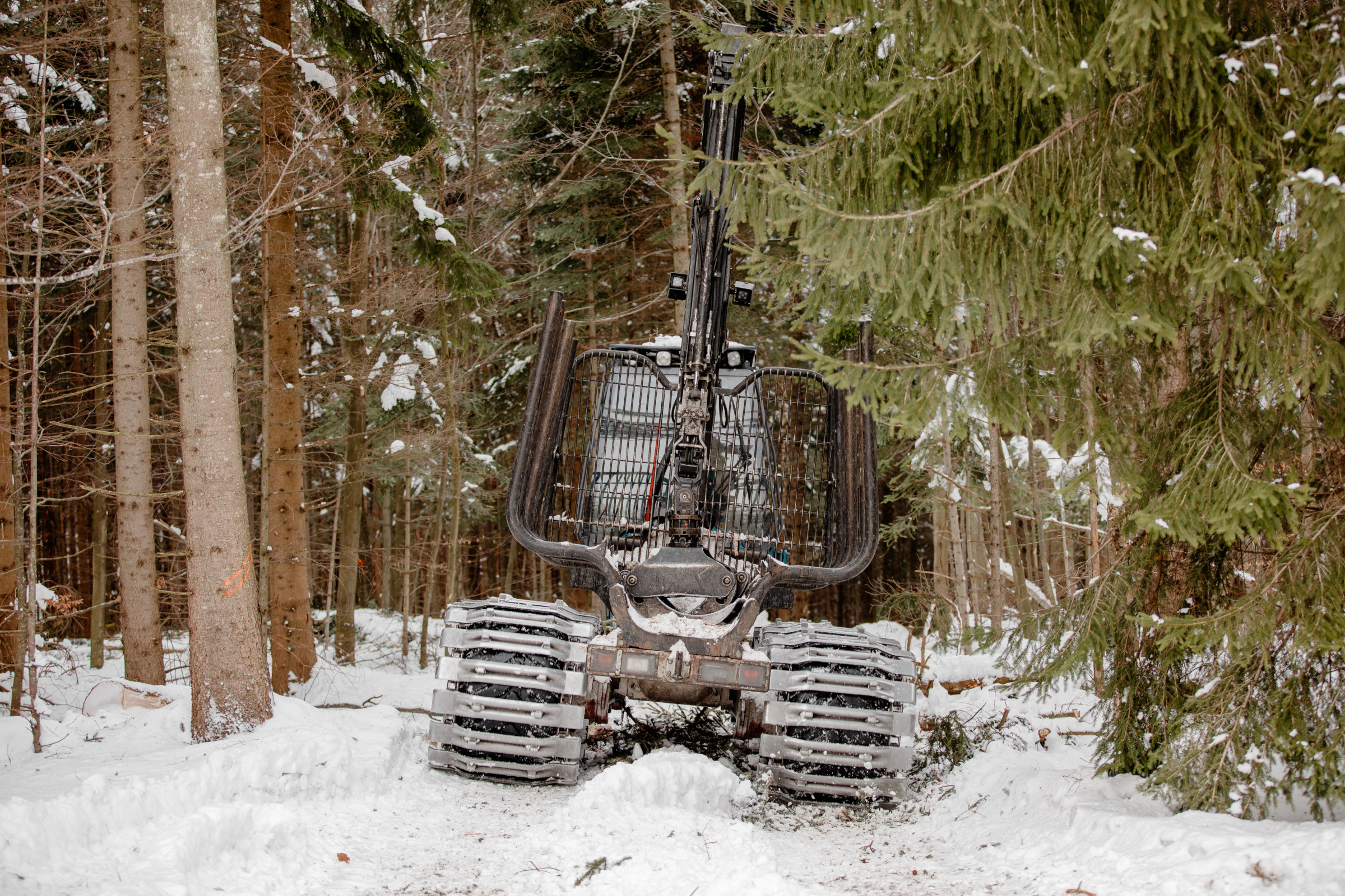 Are forestry machines too heavy for our forest soils? - waldwissen.net
