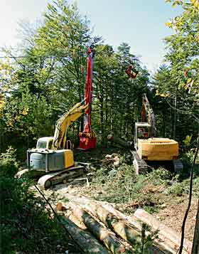 Yarder im Einsatz