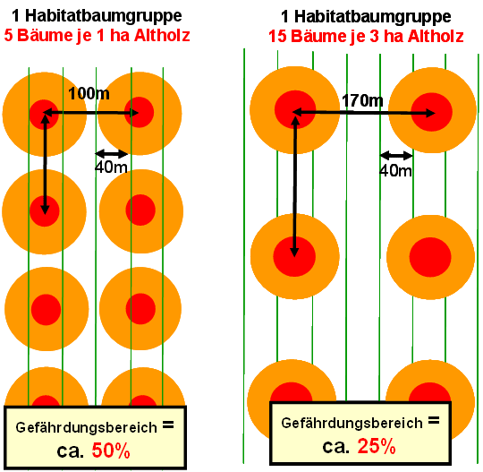 Schematische Darstellung der Gefährdungsbereiche und -flächen von HBGn