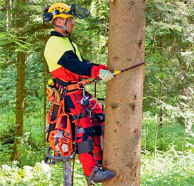 Sicherheitsgurt Klettergurt Baumsteigeisen Baumpflege Zum Klettern auf Bäum 