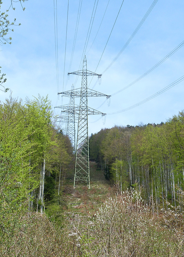 Stromleitung durch den Wald