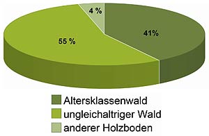 Abb. 1: Anteil an Gesamtwaldfläche laut Österreichischer Waldinventur 2007/09