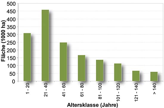Abb. 2: Altersklassenverteilung des (reduzierten) Altersklassenwaldes laut ÖWI 2007/09