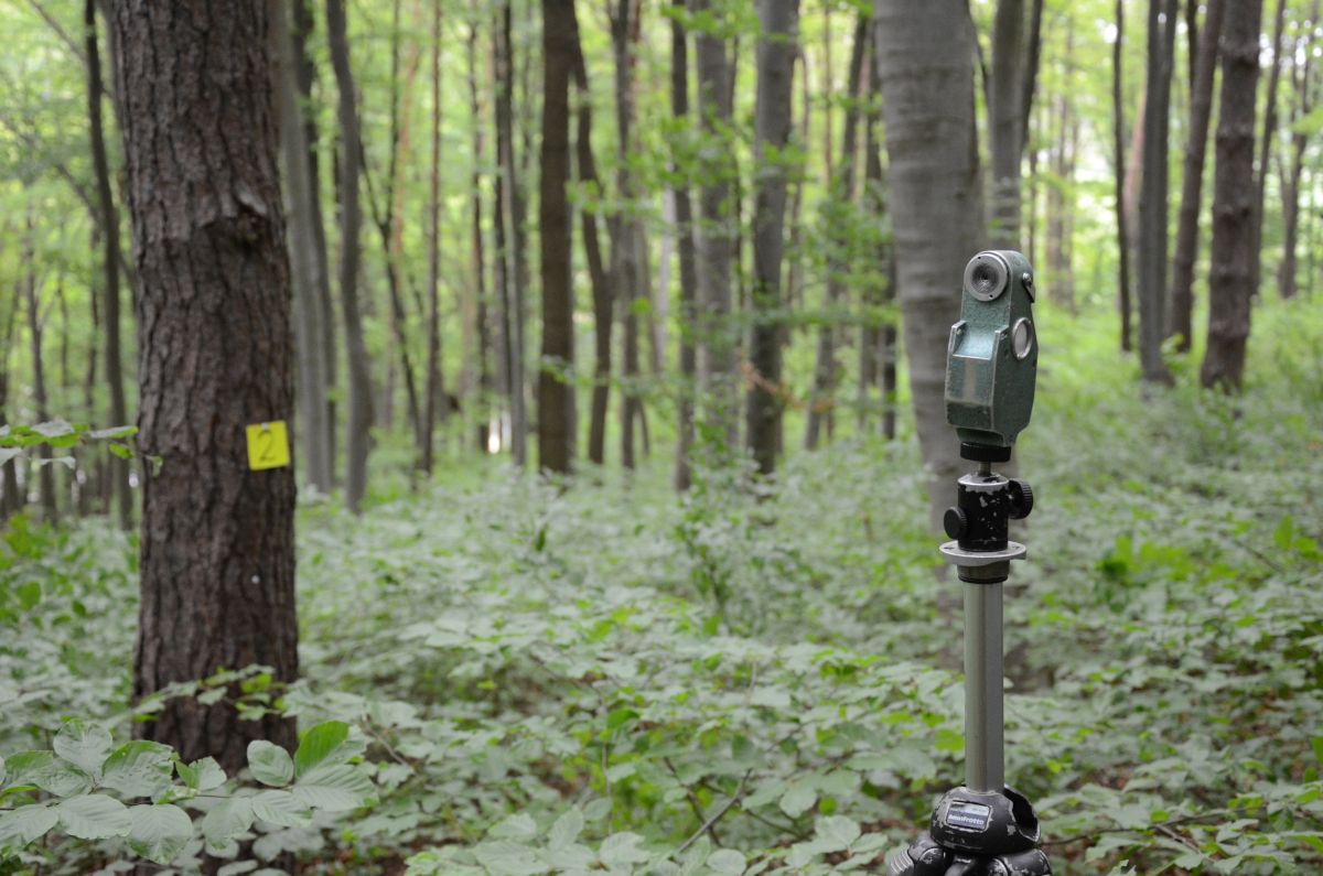 Messgerät für die Waldinventur in einem Mischwald