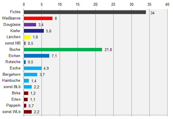 Differenzierte Baumartenverteilung im Gesamtwald.