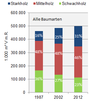 Zusammensetzung der Gesamtvorräte nach Stärkeklassen.