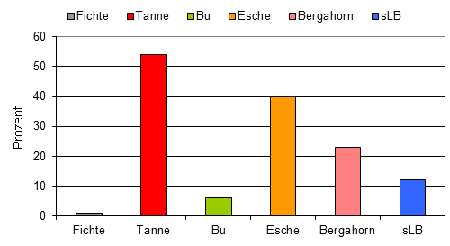 Anteil verbissener Bäume in der Verjüngung