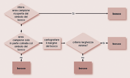 Diagramma di flusso per la decisione “bosco – non bosco”
