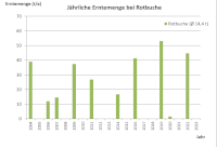 Jährliche Erntemenge Rot-Buche