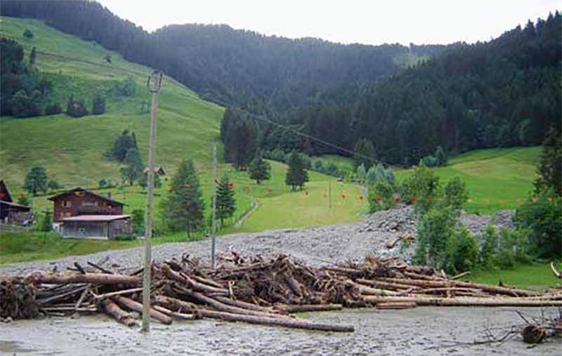 Schwemmholz nach Hochwasser im Gebirgswald