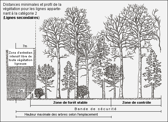 Distances minimales et profil de la végétation pour les lignes secondaires