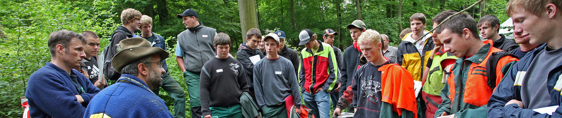 Apprendere in pratica nella foresta