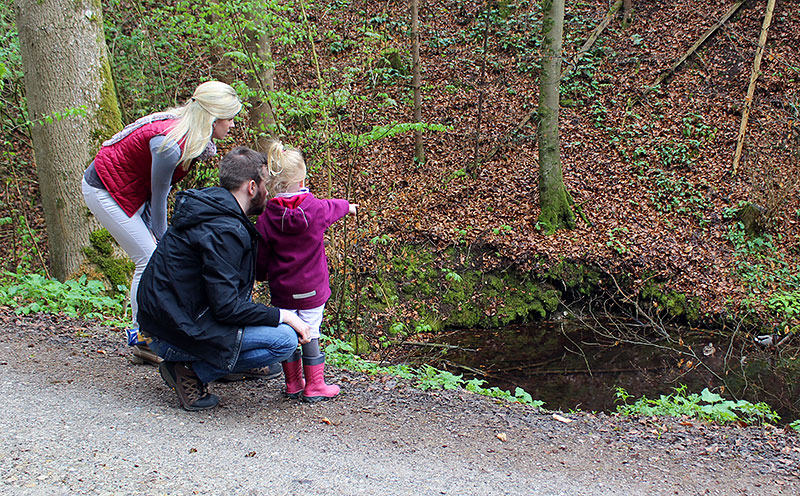 Waldbesucher am Biotop Waldbesucher am Biotop