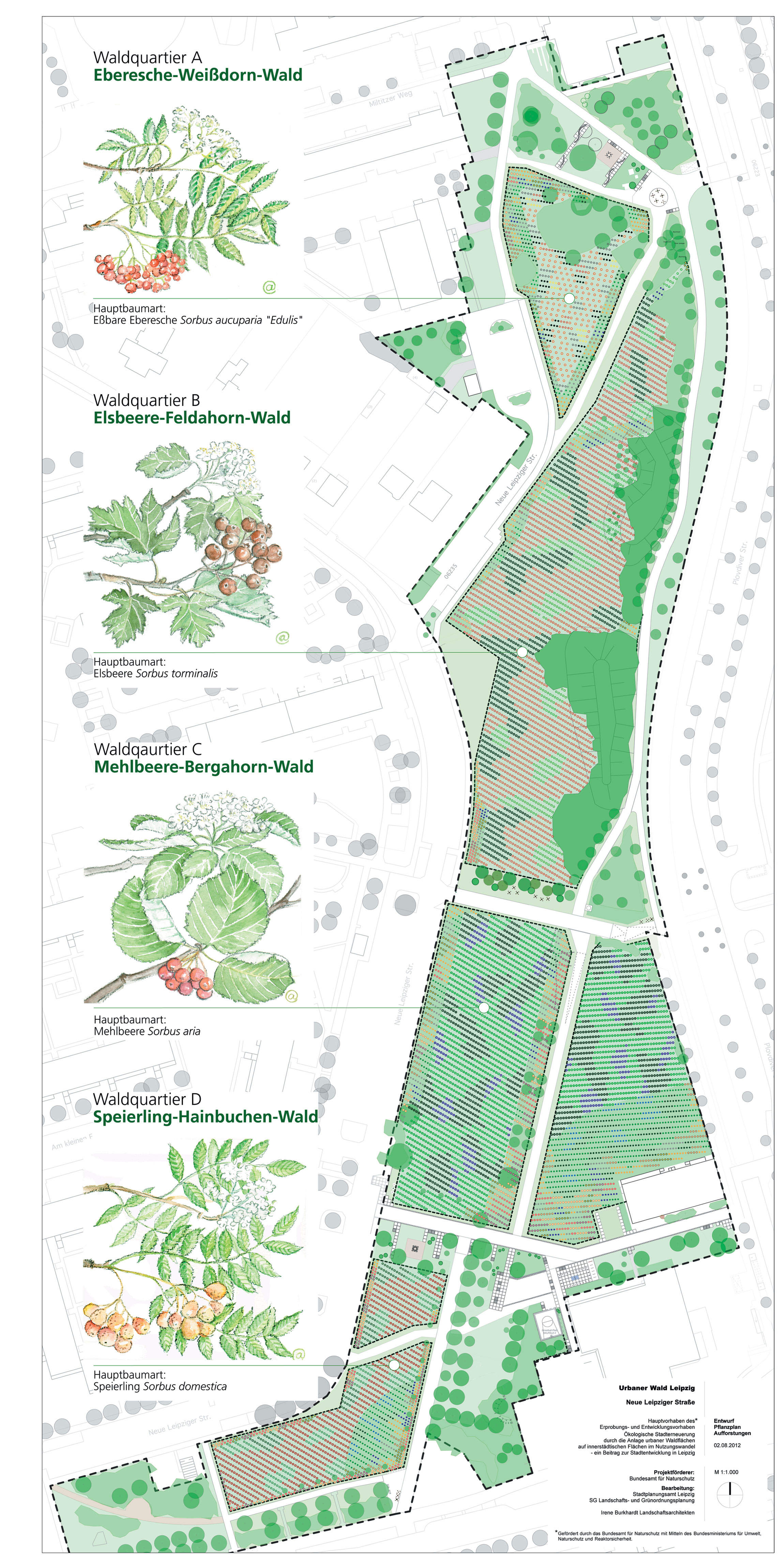 Photo: Irene Burkhardt (Stadt Leipzig) Projet de plan d’afforestation