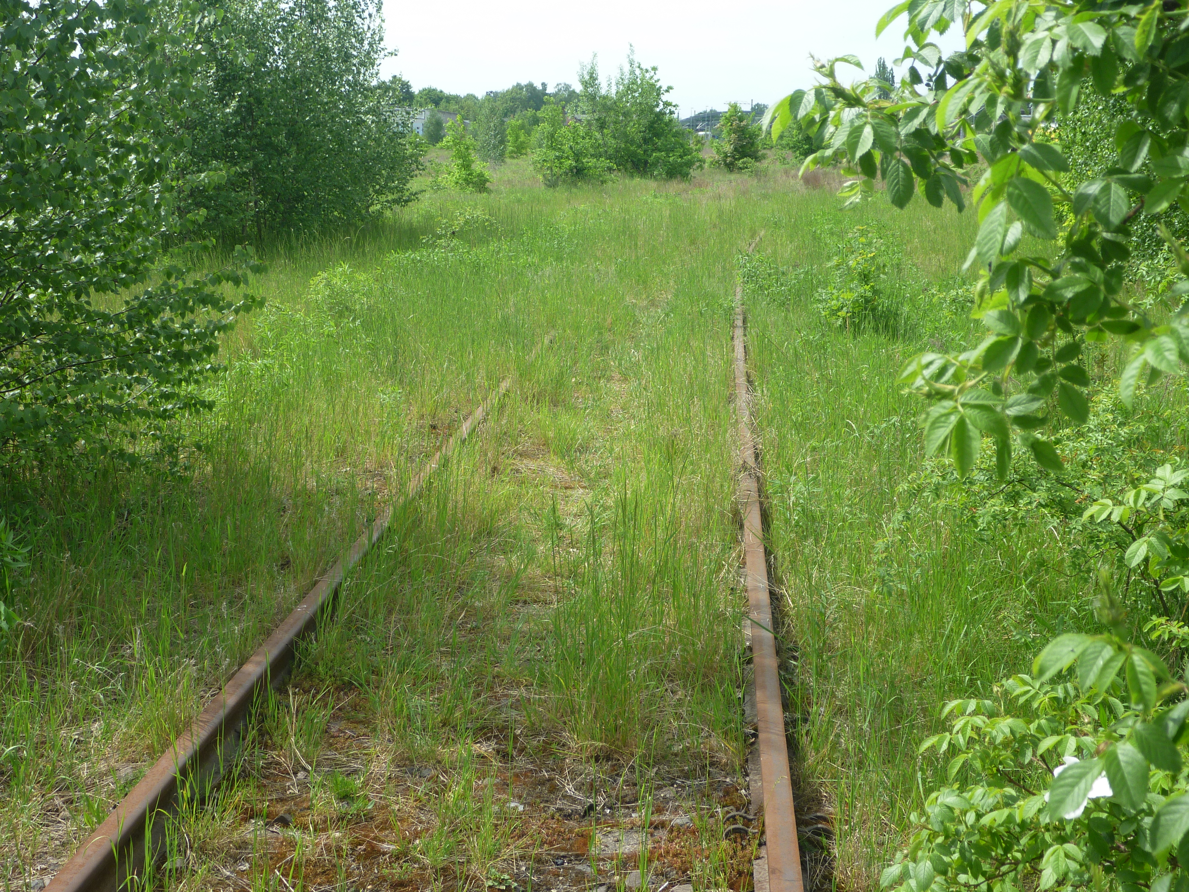 Photo: Regina Dietrich (Stadt Leipzig) Karl-Heine Holz