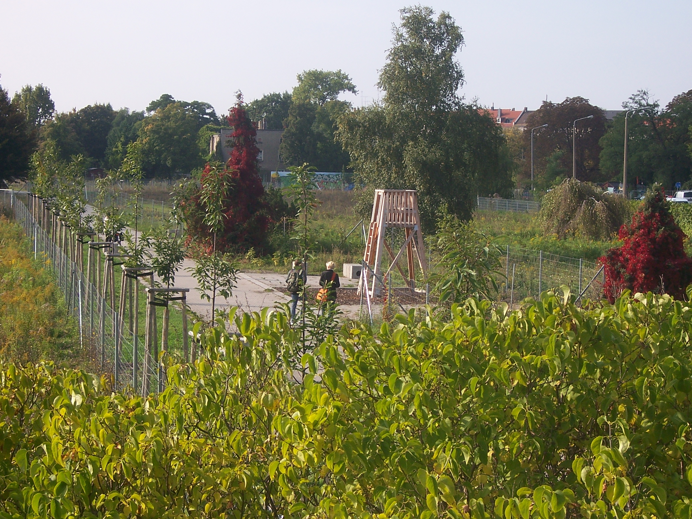 Photo: Andreas Schultz (Stadt Leipzig) Stadtgärtnerei-Holz