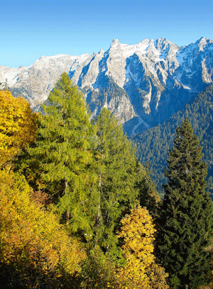 Bergell im Herbst
