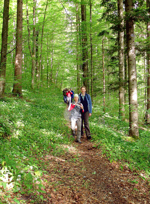 Erholung im Sihlwald