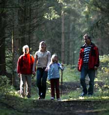 Wanderer im Schwarzwald