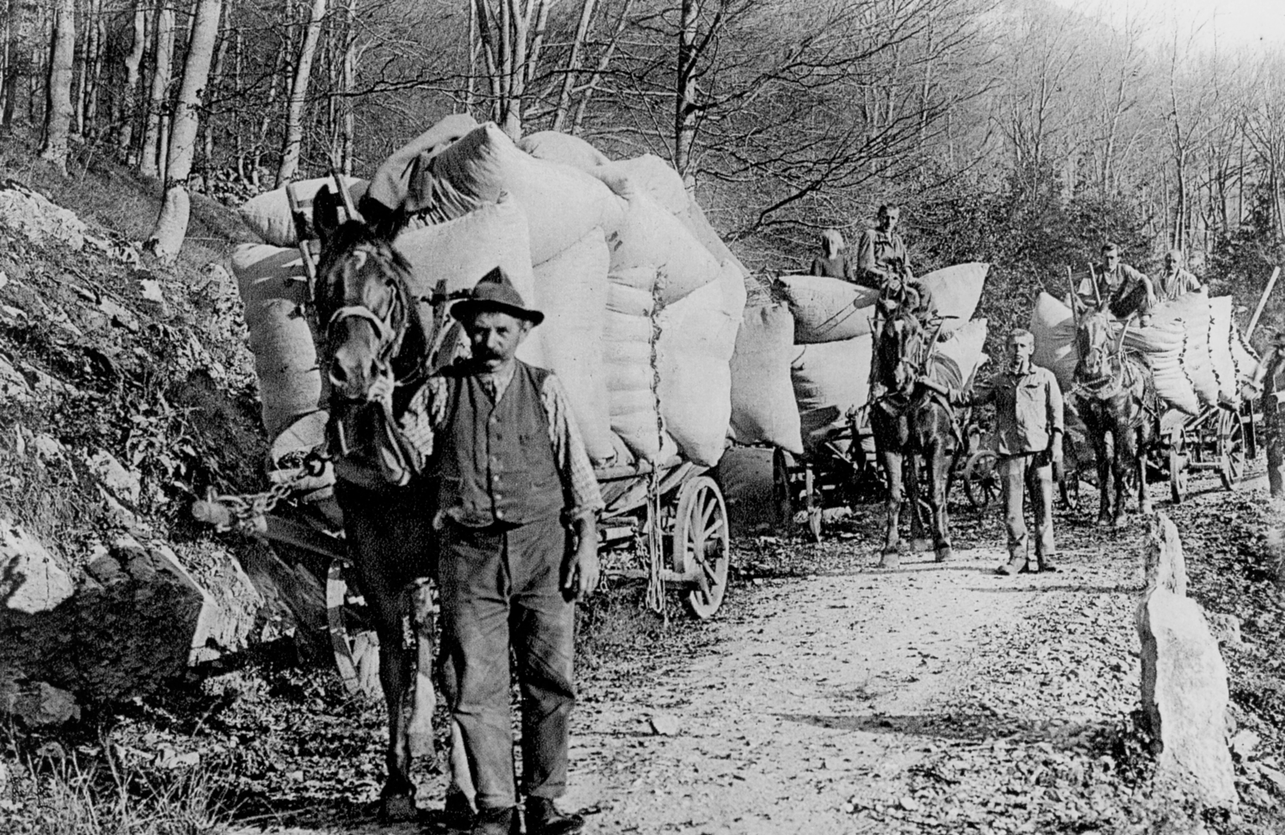 Traditionelle Formen der Waldnutzung in der Schweiz