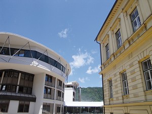 Neuerungen in der forstlichen Ausbildung