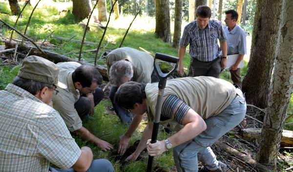 Angewandtes Lernen am Standort