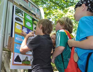 Kinder versuchen, das Schmeterlingsraupenquiz zu lösen