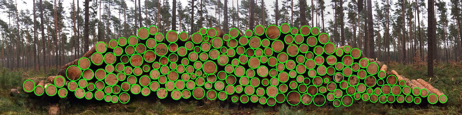 Fixlängen-Polter: Einzelstücke gezählt und die Durchmesser ermittelt