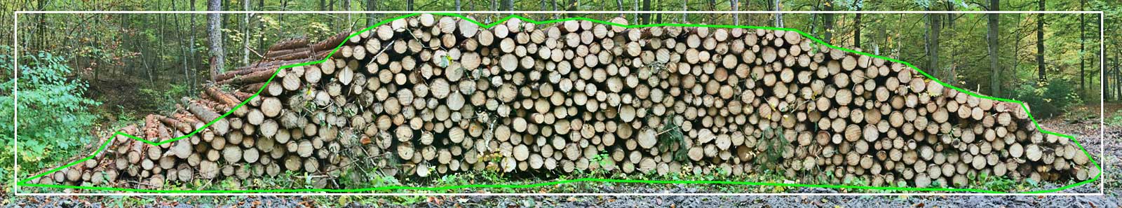 Schichtholz-Polter: Polygonzug um Polterfrontfläche