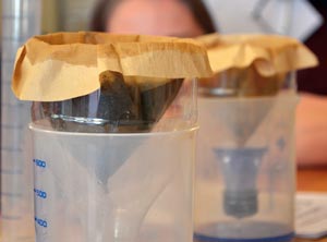 Filterversuch (Foto: BFW/C. Lackner)