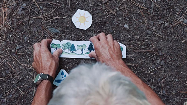 Mittels Legetechnik im BFW-Stil wird die Bedeutung der Waldpflege erklärt